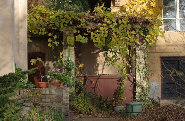 pergola na zahradě